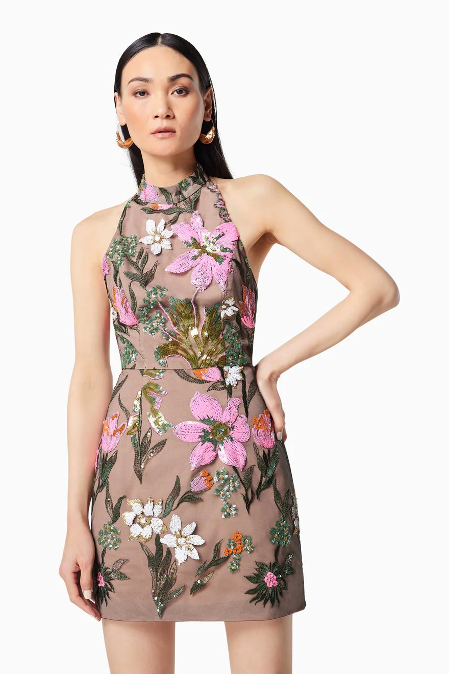 Elliatt Luminary Dress (Multi)