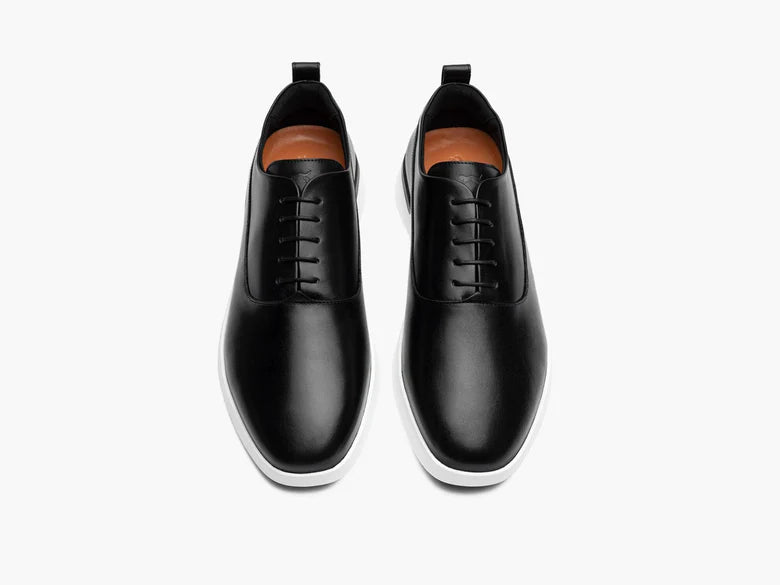 Wolf And Shepherd Crossover Longwing