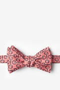 Alynn Ties Bit By Bit Self-Tie Bow (Pink)