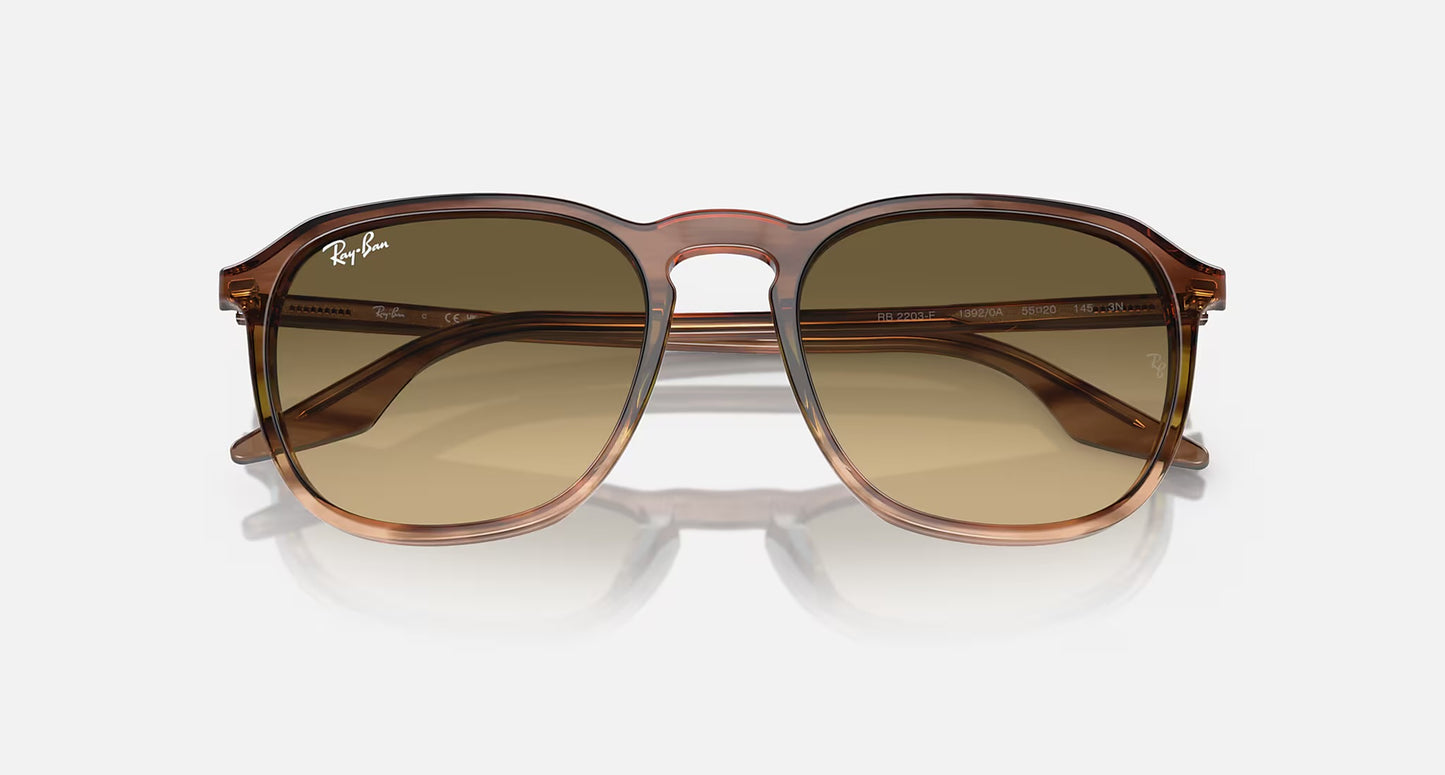 Ray Ban RB2203 (Striped Brown Gradient/Brown Vintage)