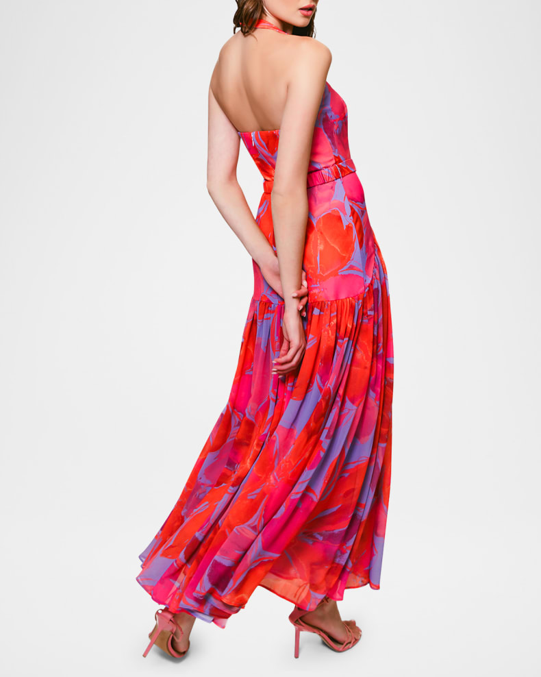 Hutch Aza Pleated Floral-Print Halter Maxi Dress