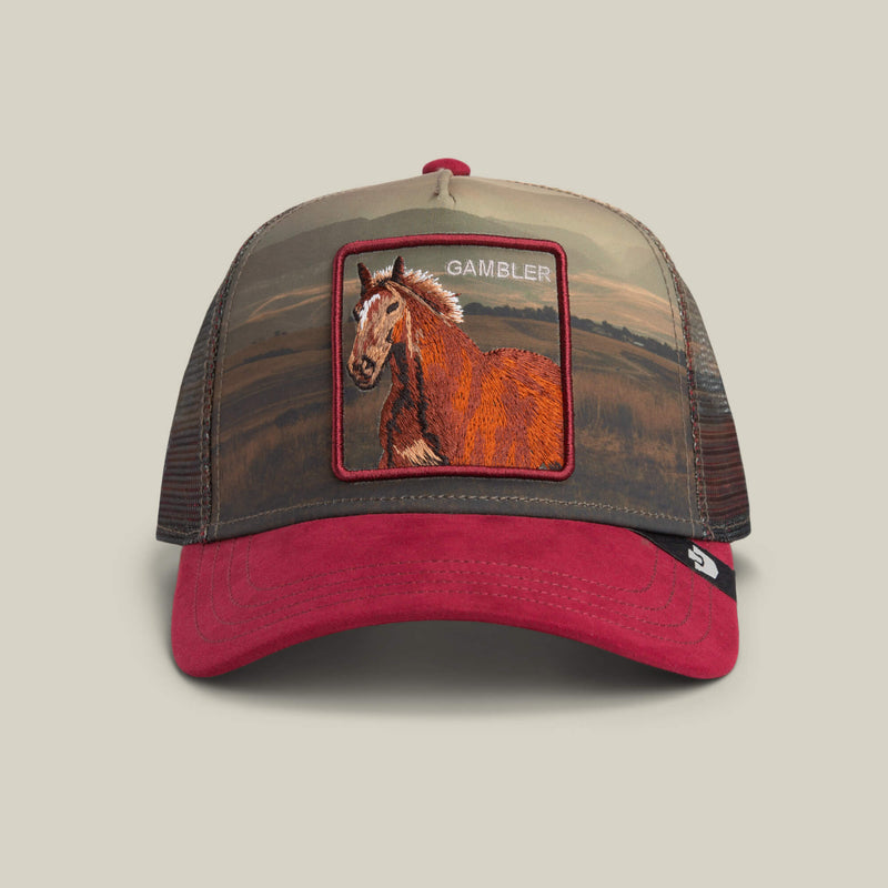 Goorin Bros. In The Element Trucker Hats