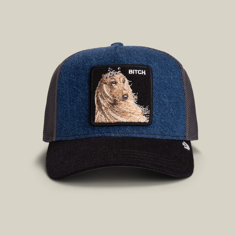 Goorin Bros. Denim Trucker Hats