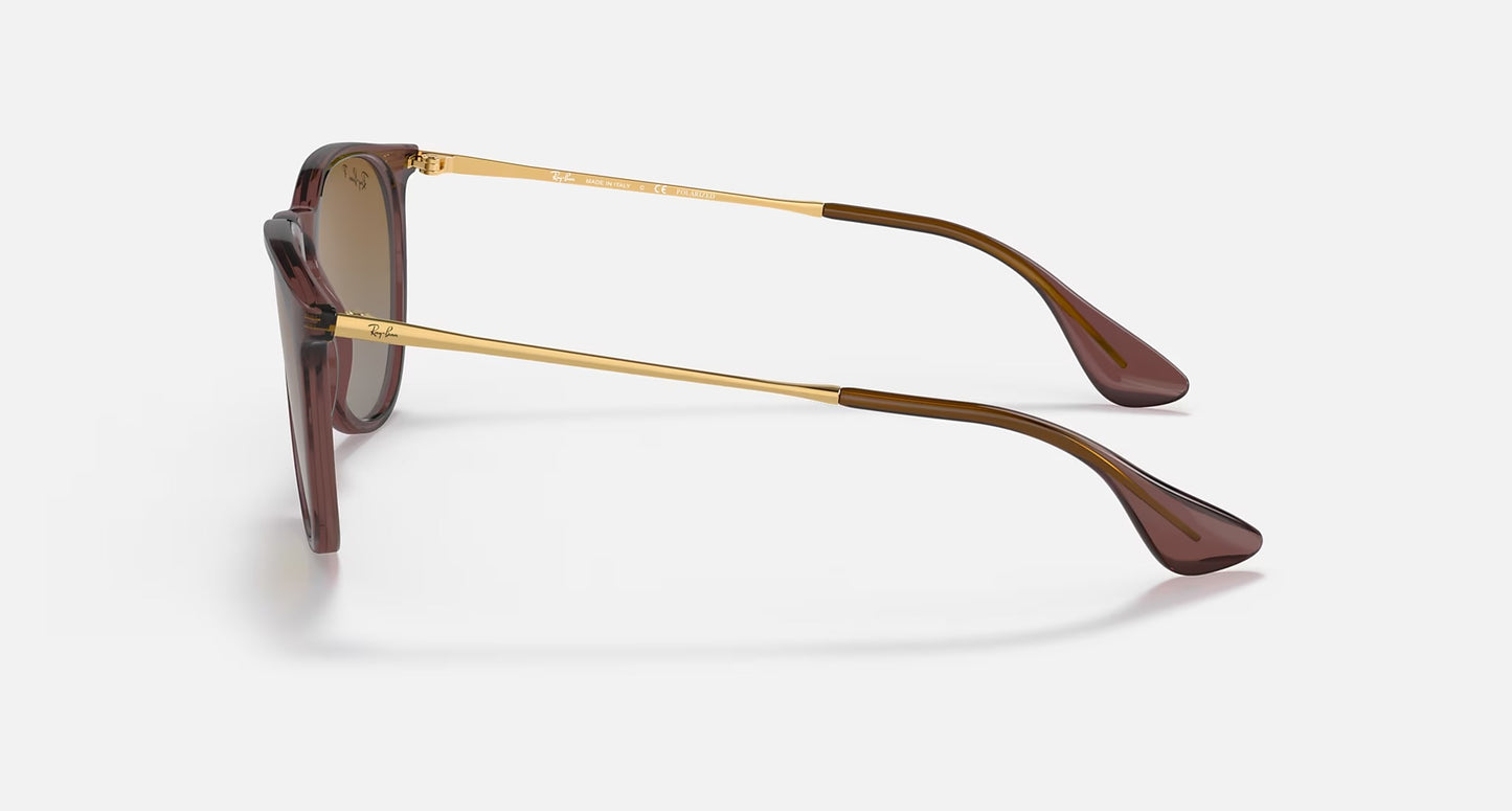 Ray Ban Erika Classic (Transparent Light Brown / Dark Brown)